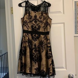 The Limited black lace dress